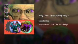 Why Do I Look Like My Dog?