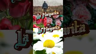 la Margarita los Tigres del Norte #regionalmexicano #tigresdelnorte #sinaloa #chihuahuaméxico