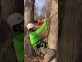 Quick tip for tree climbers. Adjustable Friction saver for a choking/cinching MRS spar anchor - Strider Trees Quick tip for tree climbers. Adjustable Friction saver for a choking/cinching MRS spar anchor