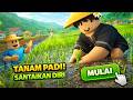 AKU MAIN GAME MENANAM DI SAWAH INDONESIA LANGSUNG TANAM SAWIT SAWAH Indo