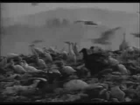 Todo Mundo Está Feliz video
