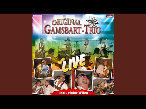 Lieber ledig und frei (Radio Version)