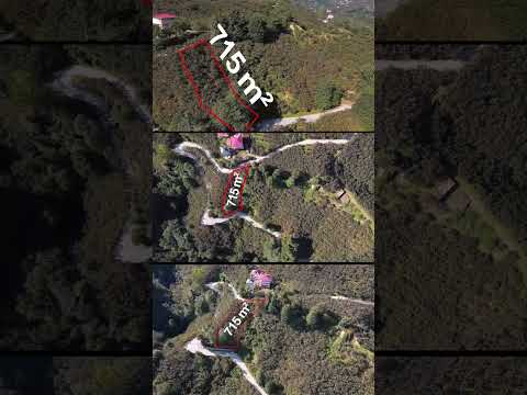 YouTube Shorts Önizleme