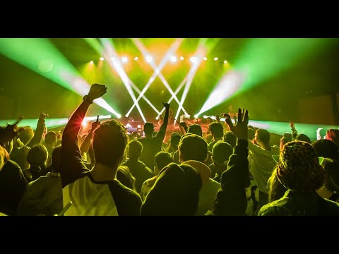 Dogs In A Pile - Chop Shop - Chicago, IL - 11/16/24