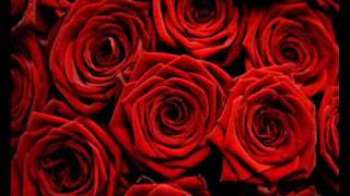 Book of Love - I Touch Roses (Long Stemmed version)