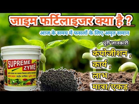 Complete information about zyme fertilizer || All about zyme fertilizer || organic fertilizer || ...