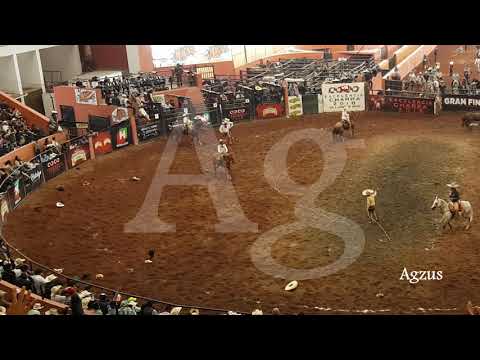 3 de 3 en Manganas a Pie de Enrique "El Astro" Ramirez por Los 3 Potrillos