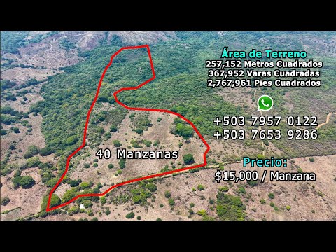 Hermoso Terreno En Venta de 40 Manzanas En Santa Clara, San Vicente. Cel: 7653 9286