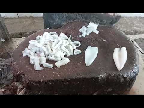 SQUID 🦑 FISH CUTTING SKILL #squid#kalamari#makul