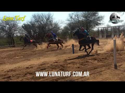 HIP. "TALVA" EN TALVA (Olta L.R.) 08/09/2018 - DON MANOLO, FARON Y MAMITA PLUS