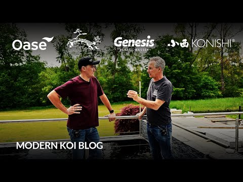 Modern Koi Blog #6037 - Silvio erklärt uns die Möglichkeiten mit Photovoltaik am Koiteich