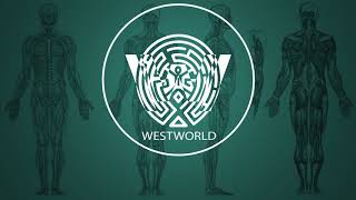 Ramin Djawadi - C.R.E.A.M. (Westworld Season 2 Soundtrack)