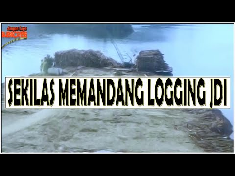 Memandang Aktifitas Logging