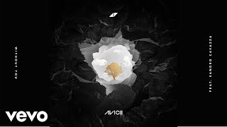 Avicii