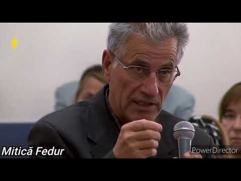 Alesul IOV - Poezie - Mitică Fedur