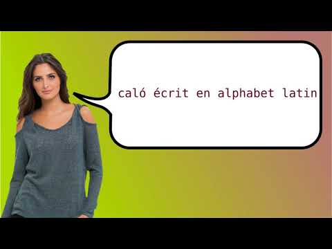 How to say 'Caló Written Latin Script' in French?