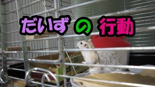 だいず(1F)の様子_カレン撮影