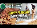 Daily Work Ll Happy Farming Ll Marz Agro