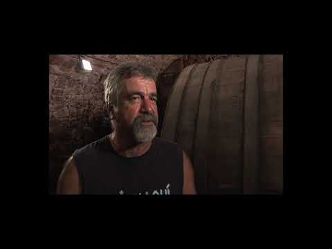 La cava, lo VDQS (1965) e l'apellacion (1990)