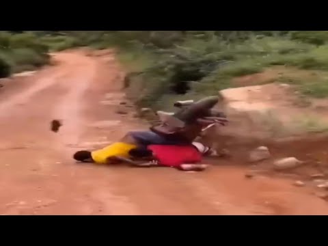 Top 5 videos that make you laugh