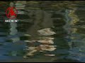 10 Elton John Skyline Pigeon Able Music