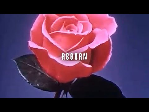 Miniatura de Reborn