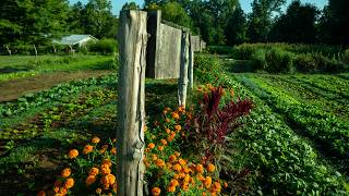 More Native Plantings and Hedgerows for Growers Please