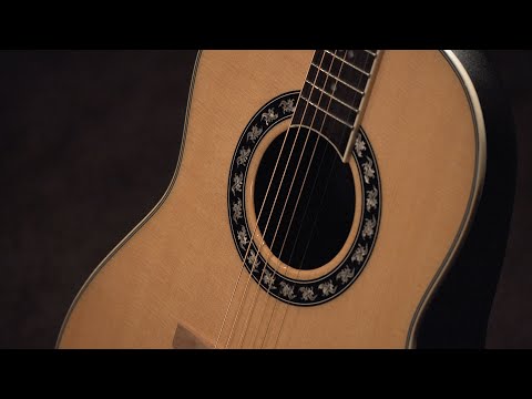 The Signature Glen Campbell Non-Cutaway Mid Depth Natural Guitar (1627VL-4GC) - Mark Kroos Demo