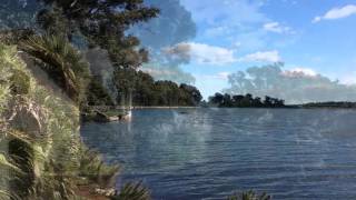 Francesco De Gregori : Raggio di Sole