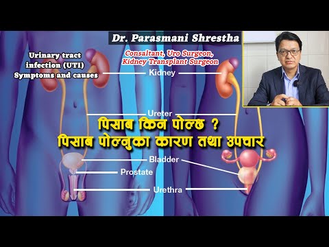 पिसाब किन पोल्छ ? | पिसाब पोल्नुका कारण तथा उपचार | Urinary tract infection | UTI Burning sensation