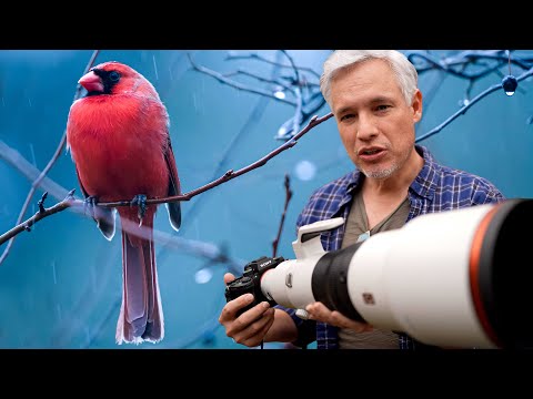 wildlife photography in the rain tutorial video by tony & chelsea northrup