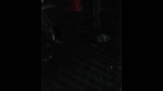 Download lagu Bazit present by anak anak kondang karangjati krw mp3 Download lagu Bazit present by anak anak kondang karangjati krw mp3