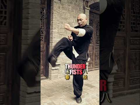 Wing Chun × Bajiquan⚡Lightning Speed, Thunder Power