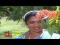 1988 Raasave Unnai Nambi Kaalai Nera Raagamey Video Song HQ Audio
