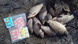 После дождя клюет ли рыба