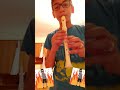Vali Radu Calma La Fluier