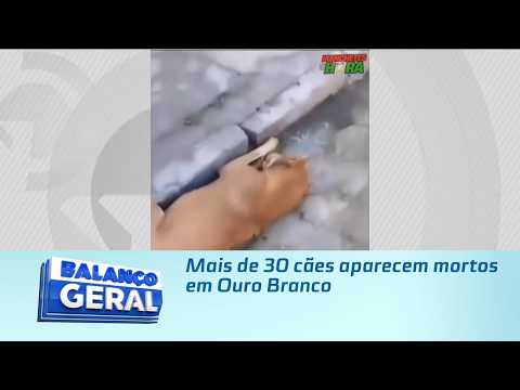 Mais de 30 cães aparecem mortos em Ouro Branco