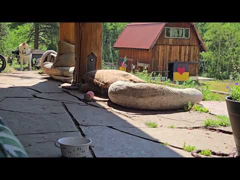 Hope, now Maitri, dining al fresco