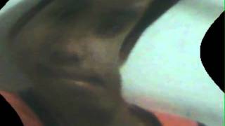 Todd Rundgren - The Wheel - 1974-10-16