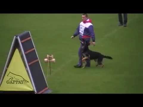 EXTREME OREX Aykmar - BEST OBEDIENCE WUSV 2014 Haguenau - 98 points !!!