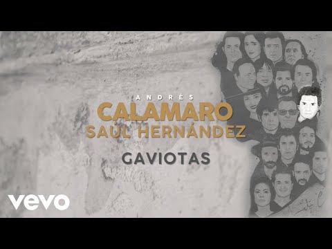 Gaviotas - Andrés Calamaro