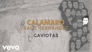 Andrés Calamaro, Saúl Hernández - Gaviotas (Lyric Video)