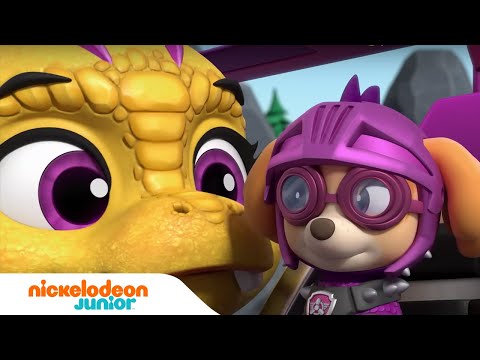 PAW Patrol : La Pat' Patrouille | Les chiots chevaliers sauvent la mise 👑 | Nickelodeon Jr. France