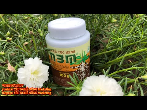N3M trọng lượng100g dạng bột - RA RỂ CỤC MẠNH chuyên dùng KÍCH RỂ | YÊU NGHỀ NÔNG 4.0