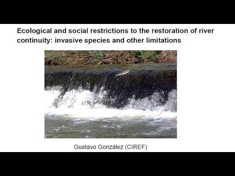 Restoring river continuity - Webinar: ecological and social restrictions