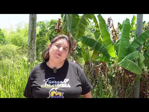 Viviana Trujillo - cocinera y productora de La Tebaida Quindio 