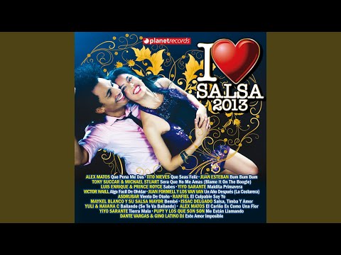 Si Me Hubieran Dicho