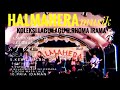 Halmahera Musik Full Album Koleksi Lagu Lagu Lawas H Rhoma Irama