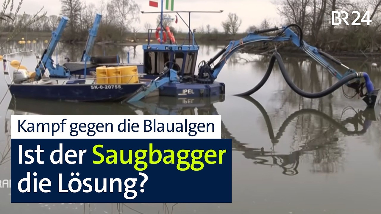 Kampf gegen Blaualgen am Altmühlsee – könnte das die Lösung sein? | BR24