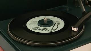 Zebra-Bears (short edit)